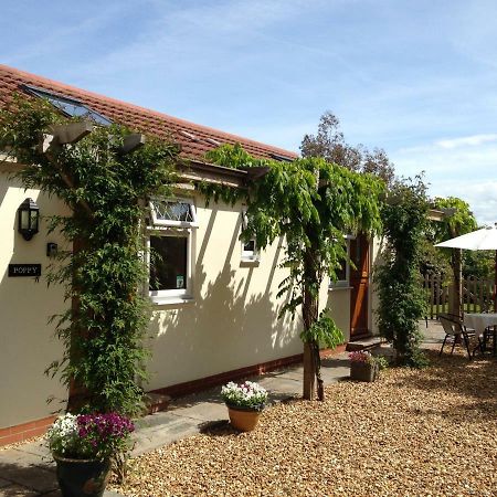 Ashford House B&B Вэллс Экстерьер фото