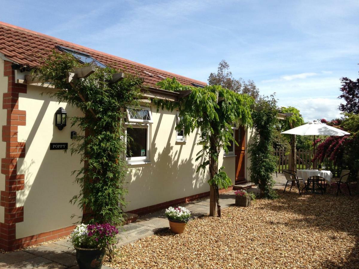 Ashford House B&B Вэллс Экстерьер фото